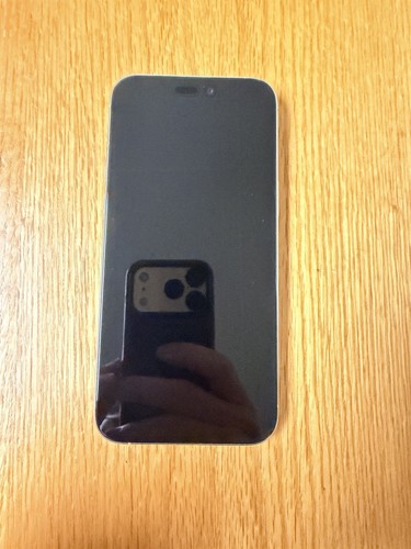 Iphone pro max - max, titanio